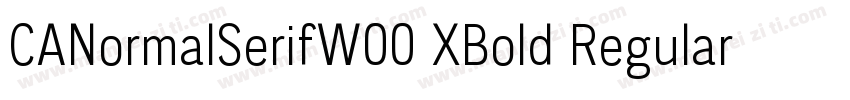 CANormalSerifW00 XBold Regular字体转换